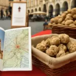 Dove trovare le migliori fiere del tartufo bianco nel Torinese: itinerari e consigli utili per non sbagliare scelta